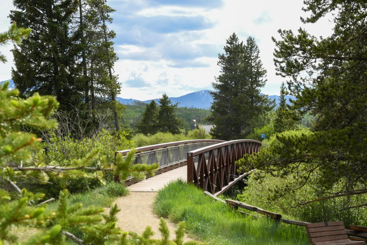 A tranquil wooden bridge spans over a gentle landscape framed by trees and distant mountains, evoking a sense of peaceful exploration and connection to nature.